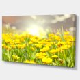 thumbnail image 2 of Sunny Meadow avec Fleurs Jaunes - Impression sur Toile Florale, 2 of 3