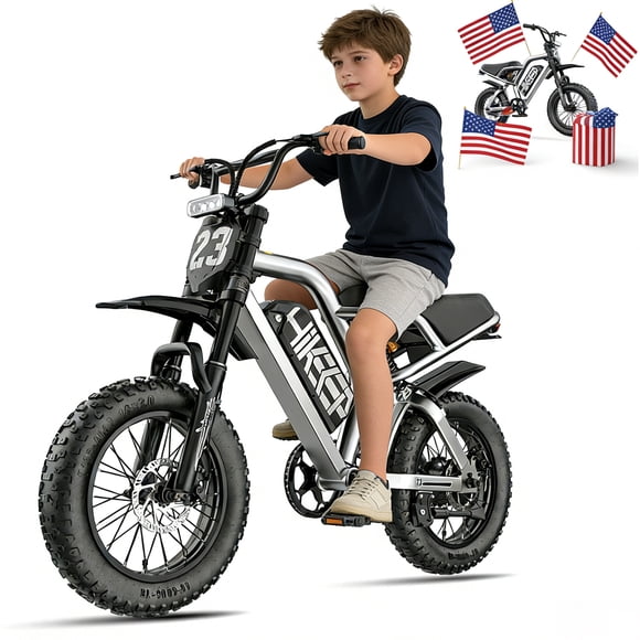 Vélo Électrique pour Adultes Pneu Grand 20 Pouces, Vélo Électrique Max 32 Mi/h, Vélo de Montagne Électrique 1500 W 48 V 15 Ah UL2849