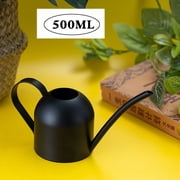 TOUMENY Stainless Steel Watering Can, Long Spout Precision Indoor Waterer, 500ml Capacity Small Metal Can for Houseplants Bonsai