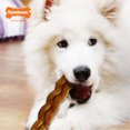 thumbnail image 3 of Nylabone Power Chew Alternative Braided Bully Stick Large Dog Toy, 3 of 9