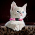 thumbnail image 3 of Print Cat Collar Breakaway Collar With (Colorful Woven Nylon Pet Neckband), 3 of 3