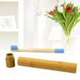 thumbnail image 2 of MesaSe Natural Bamboo Toothbrush Biodegradable Wooden Eco-friendly Toothbrush with Bamboo Storage Tube(Blue), 2 of 10