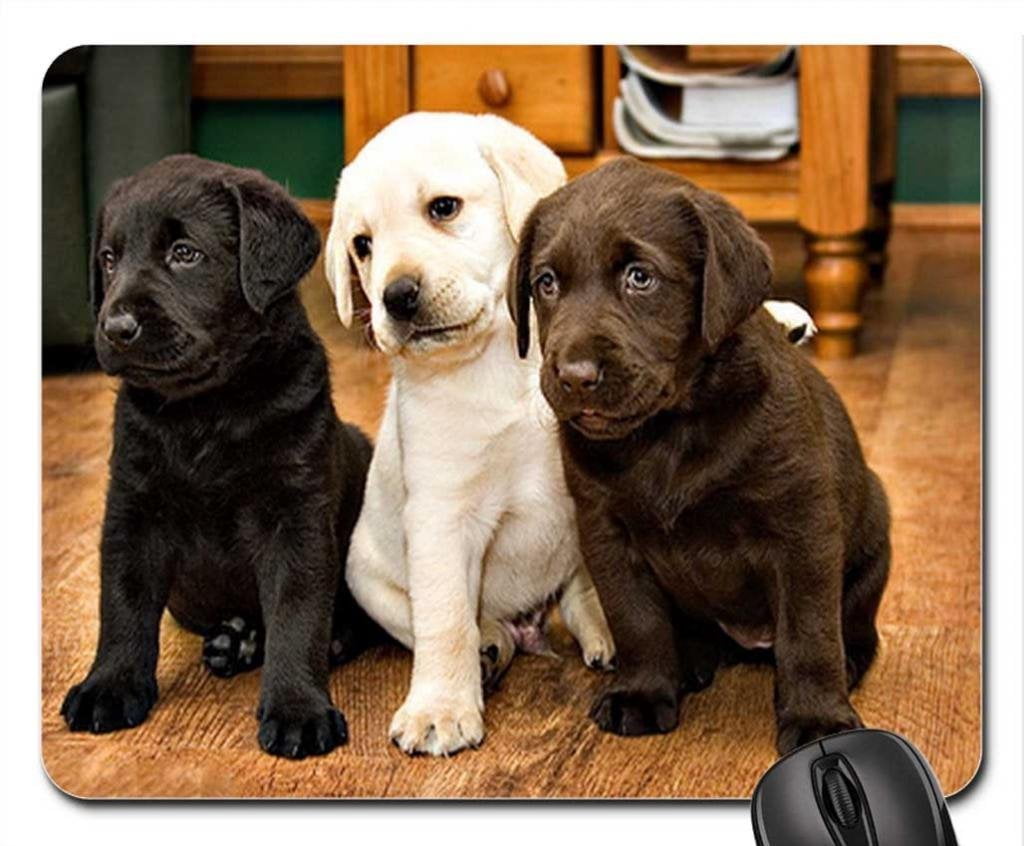 EREHome Labs Mouse pads Gaming Mouse Pad 9.84x7.87 inches