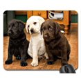 thumbnail image 1 of EREHome Tapis de Souris de Laboratoire Tapis de Souris de Jeu 9,84 X 7,87 Pouces, 1 of 1