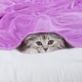 thumbnail image 4 of PiccoCasa 1 Pcs Home Warm Soft Microplush Fleece Solid Throw Blanket Light Purple 27" x 40", 4 of 10