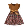 thumbnail image 2 of Pisexur Girls Dresses , Robes d'Été pour Bébés Filles, Robe Tricotée Imprimée Sans Manches à Col Rond Longueur Genou Marron, 2 of 3