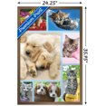 thumbnail image 2 of Keith Kimberlin - Collage de chiots et de chatons, 2 of 4