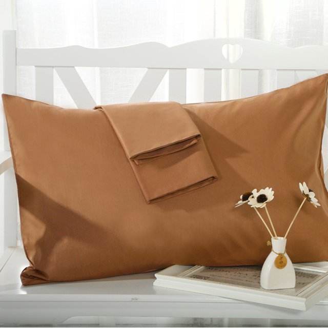 veasfak Color Rectangle Cushion Pillowcase Single Pillow Cover, 48x74cm/20x30inch, 12 Coffee