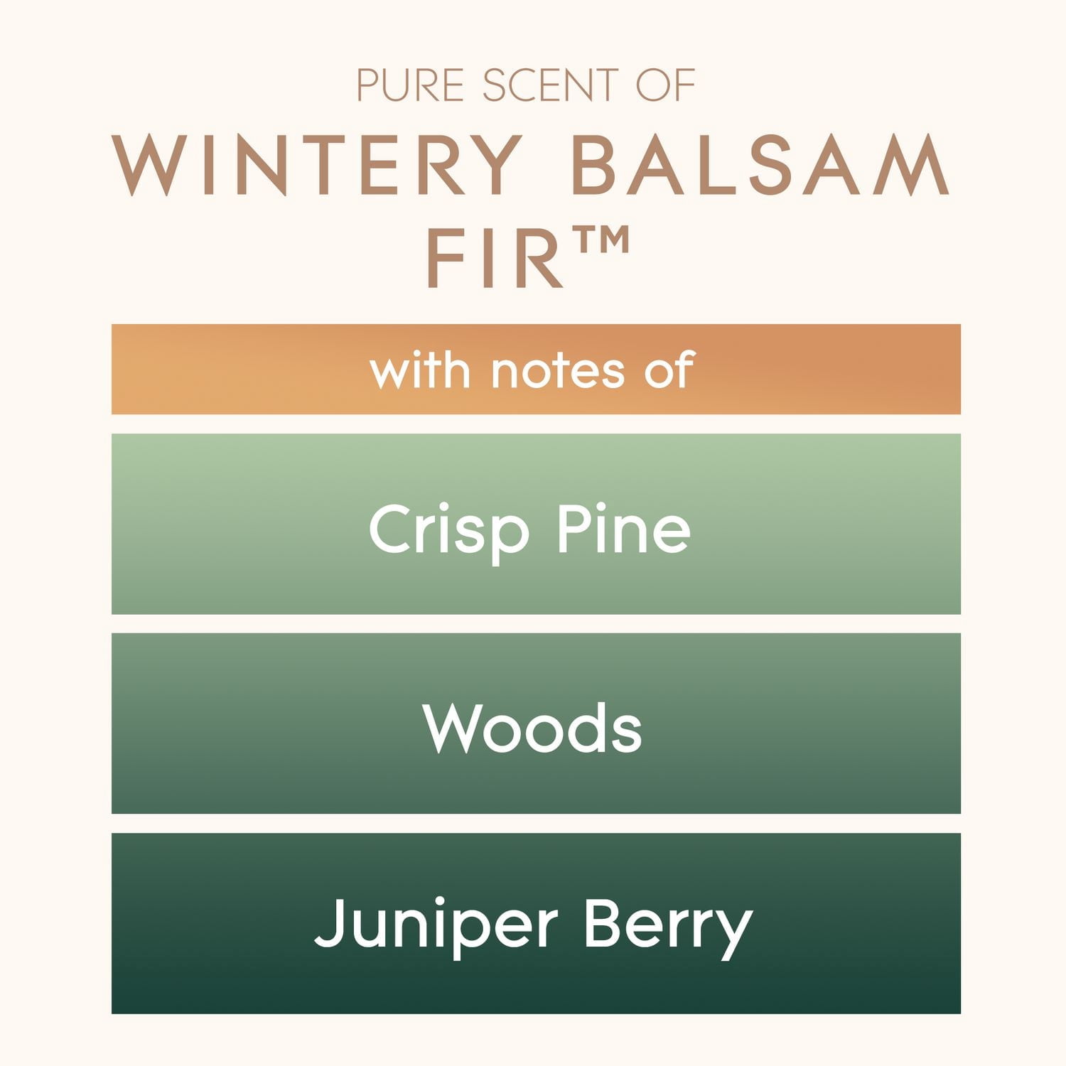 Glade® Large Candle, 4" x 4" Jar Candle, Wintry Balsam Fir