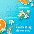 thumbnail image 4 of Febreze Air Freshener Spray, Odor-Fighting Room Spray, Refresh & Energize Scent, 4 of 11