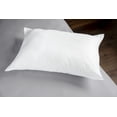 thumbnail image 1 of Timeless Pillow Jumbo, 1 of 3