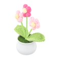 thumbnail image 2 of Bgsha Handwoven Wool Crochet Puff Flower Pot: A Timeless,Low-maintenance Home Decor!, 2 of 10