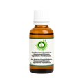 thumbnail image 2 of R V Essential Pure Rosemary Essential Oil 5ml (0.169oz)- Rosmarinus Officinalis (100% Pure and Natural Steam Distilled), 2 of 9