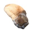 thumbnail image 1 of Redempat Doux au Toucher Réaliste Émulation de Chat Endormi Chats Respirant pour une Expérience Confortable Large Application Mixte Jaune 1Set, 1 of 6