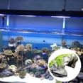 thumbnail image 3 of DOLITY Simuler Rocher Pierre Reptile Cachette Grotte Serpent Tortue Cache Repos Tank g, 3 of 9