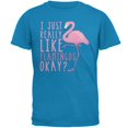 thumbnail image 1 of I Just Really Like Flamingos Mens T Shirt, 1 of 1