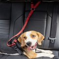 thumbnail image 4 of Keep Your Pet Safe On The Road: Adjustable Pet Seat Belts For Dogs And Cats!, 4 of 5