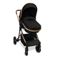 thumbnail image 4 of Bily Forward-Facing or Parent-Facing Convertible Stroller - Black & Gold, 4 of 6