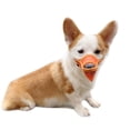 thumbnail image 4 of Dog Muzzle Soft Mesh Muzzle Adjustable Muzzle Soft Mesh Muzzle for Small Medium and Large Dogs Lickable and Chewable Allows Panting Drinking Anti Barking Breathable Puppy Muzzles, 4 of 9