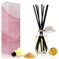 thumbnail image 2 of LOVSPA Warm Vanilla Sugar Reed Diffuser Set - Coconut Milk, Vanilla & Sandalwood Scent Diffuser - Reed Diffusers for Home with Long Lasting Fragrance - Non-Toxic Oil Reed Diffuser - Made in The USA, 2 of 4