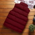 thumbnail image 5 of Veste Sans Manches Homme Mode Homme Uni Col Montant Cardigan Sans Manches Veste Manteau Rembourré, 5 of 5