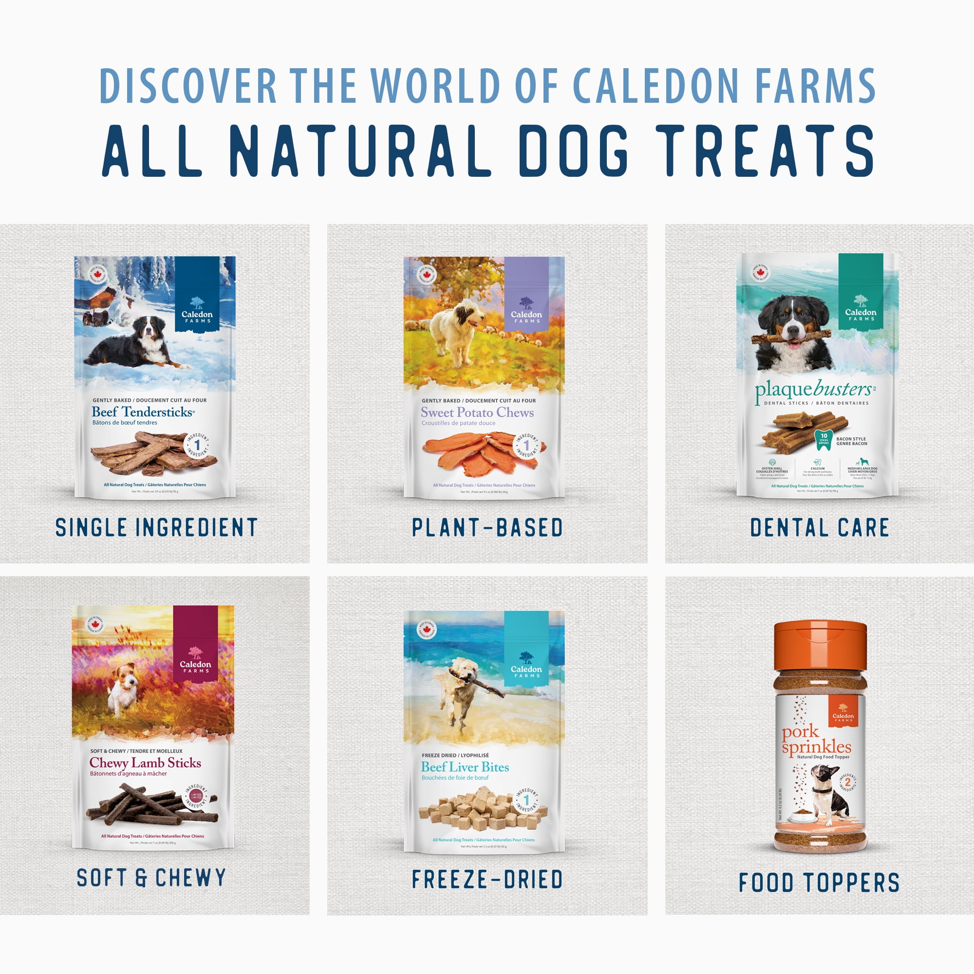 Caledon Farms Chewy Chicken Sticks Friandises pour chiens entièrement naturelles, moelleuses et moelleuses, cuites au four, 220 g