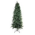 thumbnail image 2 of Northlight Real Touch™️ Green Slim Washington Frasier Fir Artificial Christmas Tree - Unlit - 7.5', 2 of 6