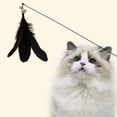 thumbnail image 4 of SPOORYYO Cats Toy Feathers Play Stick with Bells - Interactive Training Game for Cats and Kittens, Replaceable Feathers, Engaging Exercise Toy, 4 of 6