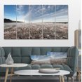 thumbnail image 1 of Autumn Hoarfrost on Grass - Landscape Print Wall Artwork, 1 of 3