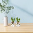 thumbnail image 2 of Miangastore Plant Terrarium Glass Cork 3Pcs Home Decoration 3.7X3.4X2.6In, 2 of 9