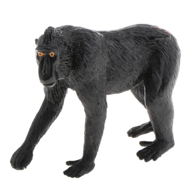 Static Animal Model Action Figure Toy for Kids Model for Kids Realistic and Adults Macaca Nigra