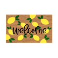 thumbnail image 1 of Natural Summer Doormat with Non-Slip Backing, Funny Cute Front Floor Carpet Rugs for Kitchen mats, Front Back Doors, Pets and Dogs, Home Indoor Outdoor Decorations, 1 of 5
