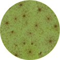 thumbnail image 1 of Ahgly Company Machine Washable Indoor Round Transitional Pistachio Green Area Rugs, 3' Round, 1 of 7