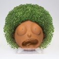 thumbnail image 2 of Rick and Morty Chia Pet Morty Decorative Pottery Planter, 2 of 2