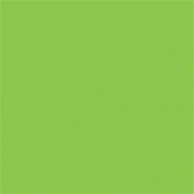 ADJ Pro Gel Feuille Vert Clair 21 x 24 Pouces Conçue pour Pinspots Multicolore