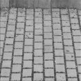 thumbnail image 1 of Ahgly Company Tapis d'Intérieur Lavable à la Machine, Carré, Transitionnel, Gris Fumé, Tapis de Zone, 7 Pieds Carré, 1 of 7
