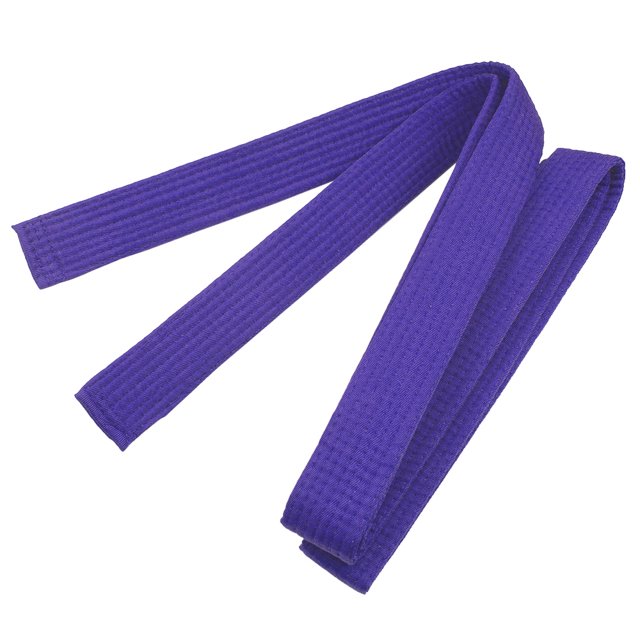 TOPTIE Karate TaeKwonDo Belt, Martial Arts Double Wrap Solid Rank Belt-Purple-Size 0