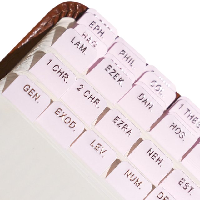 Idyllic Grace - Mini Bible Tabs, Embossed Gold Foil, Journaling, Small Bibles, Study Tool, 90 Tabs, Old and New Testament, Christian, Catholic, Apocrypha, Index Tabs, Matte Laminated - Mini Blushing