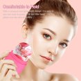 thumbnail image 3 of Riwcyla Support de Moule à Rouleau de Glace Facial pour Visage Yeux Moule à Rouleau de Glace Visage Réutilisable Raffermit et Rétrécit les Pores Illumine la Peau Gonflement des Yeux, 3 of 6