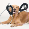 thumbnail image 2 of TopOne Laisse de Traction pour Chien avec Poignée Confortable, Extérieur, Antirouille, Anti-Morsure, en Fil d'Acier, 2 of 6