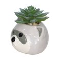 thumbnail image 3 of Artificial Succulent Plant in Raccoon Planter, 3 of 4