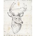 thumbnail image 1 of Cerf Sauvage et Magnifique II - Toile Encadrée d'Animaux Sauvages, 1 of 3