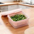 thumbnail image 1 of Square Berry Colander Bowl with Drain Holes Cute Small Kitchen Fruit Strainer for Fresh Grape Cherry Berries Fridge Storage, 1 of 3