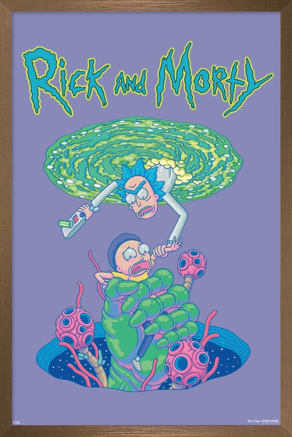 Rick And Morty - Portal Fall Wall Poster, 22.375" x 34"