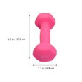 thumbnail image 1 of OULII One Pair Workout Dumbbell Iron Frosted For Women Lose Weight, 1 of 5