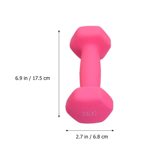 OULII One Pair Workout Dumbbell Iron Frosted For Women Lose Weight