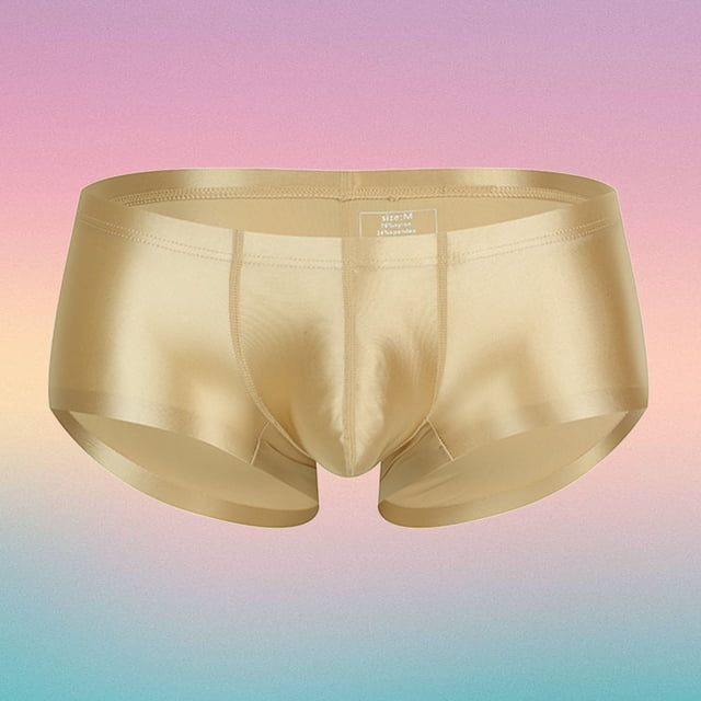 Men's Underwear Breathable Sheer Shiny Low Rise Briefs for Daily Comfort and All-Season Wear