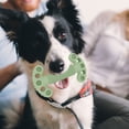 thumbnail image 4 of TIELUTT 1PCS Durable Dog Toothbrush Chew Toy Dog Bones for Medium Dogs Busy Puppy Chewing Toothbrush and Toothpaste for Dogs Small Dog Christmas Stocking Filled with and Standard Poodle Puppy Dog Bow, 4 of 7
