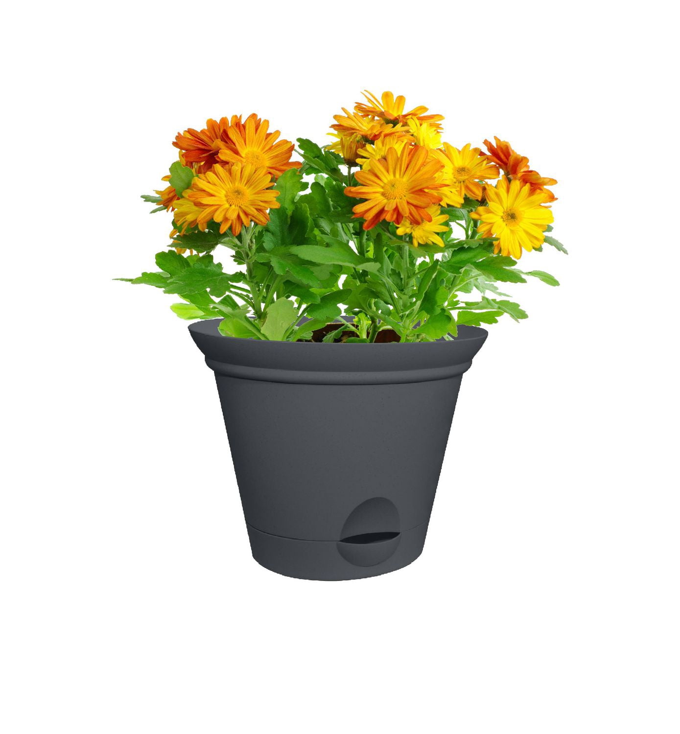 Misco 6.8IN FLARE SW Planter GREY