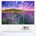 thumbnail image 1 of Summer Lavender Field in Tihany Modern, 1 of 1